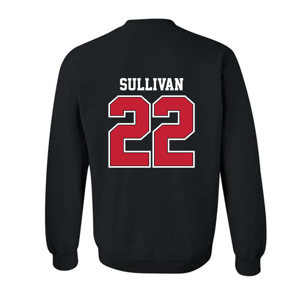 UW River Falls - NCAA Baseball : Brett Sullivan - Classic Shersey Crewneck Sweatshirt-1
