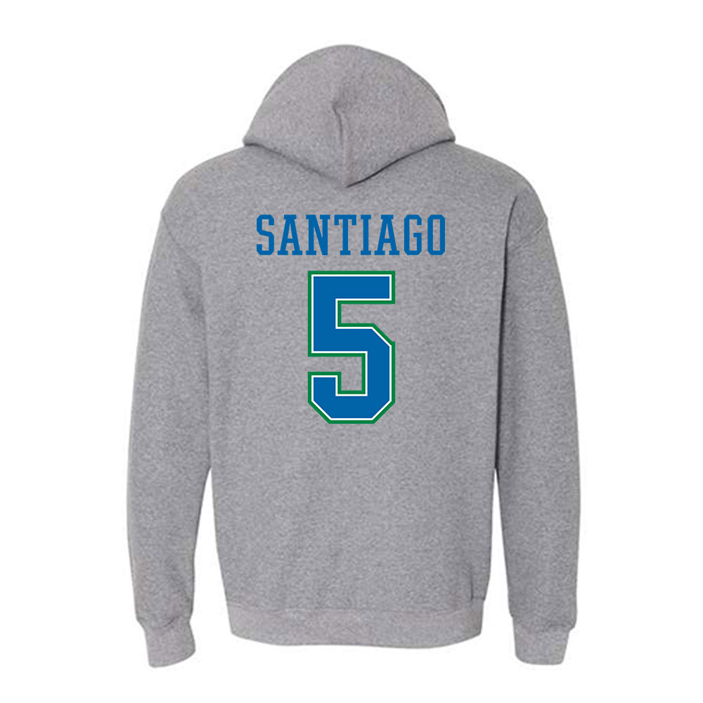 Texas A&M Corpus Christi - NCAA Softball : Kayla Santiago - Classic Shersey Hooded Sweatshirt-1