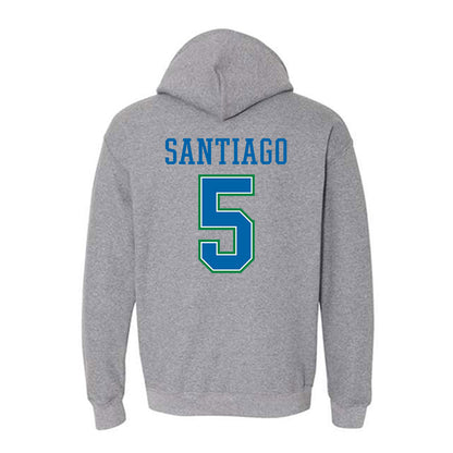 Texas A&M Corpus Christi - NCAA Softball : Kayla Santiago - Classic Shersey Hooded Sweatshirt-1