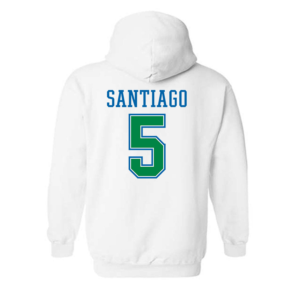 Texas A&M Corpus Christi - NCAA Softball : Kayla Santiago - Classic Shersey Hooded Sweatshirt-1