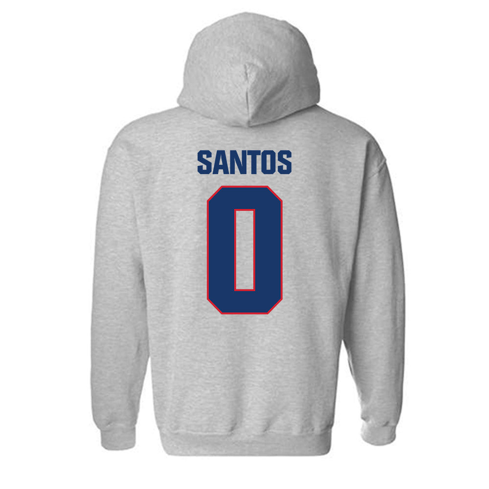Francis Marion - NCAA Men's Basketball : Troy Santos - Hooded Sweatshirt-1