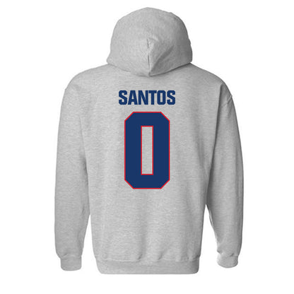 Francis Marion - NCAA Men's Basketball : Troy Santos - Hooded Sweatshirt-1