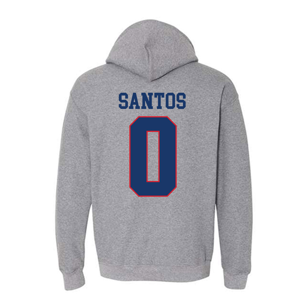 Francis Marion - NCAA Men's Basketball : Troy Santos - Hooded Sweatshirt-1