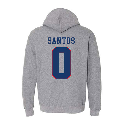 Francis Marion - NCAA Men's Basketball : Troy Santos - Hooded Sweatshirt-1