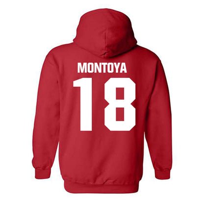Francis Marion - NCAA Men's Soccer : Emerson Montoya - Hooded Sweatshirt-1