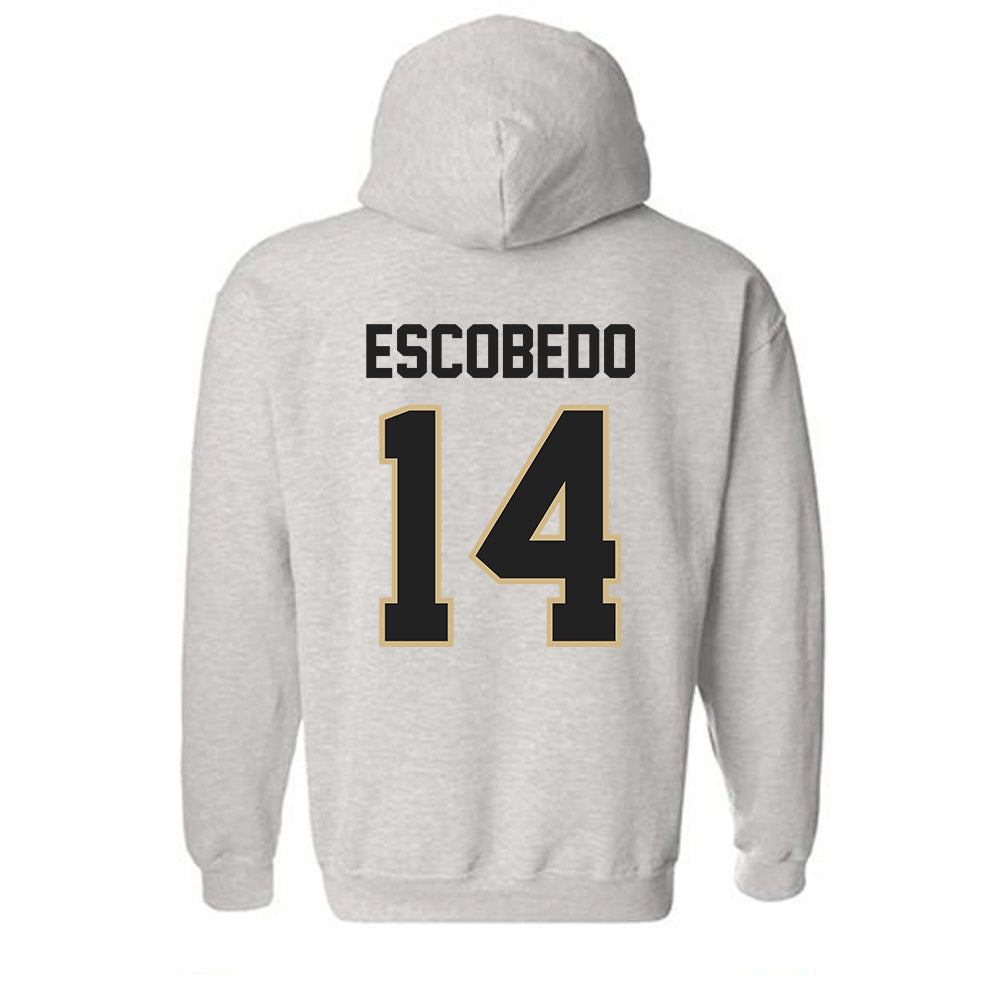 PFW - NCAA Men's Soccer : Jonny Escobedo - Classic Shersey Hooded Sweatshirt-1