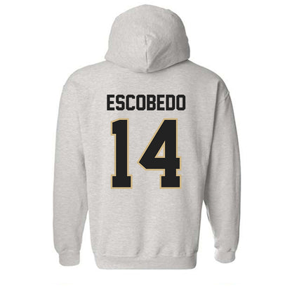 PFW - NCAA Men's Soccer : Jonny Escobedo - Classic Shersey Hooded Sweatshirt-1