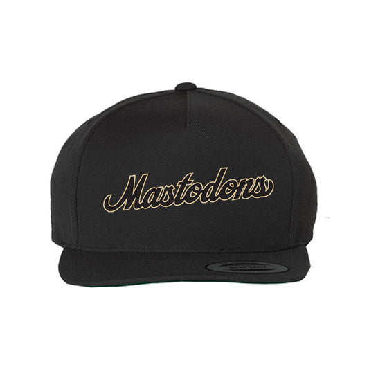 PFW - Vintage Collection Snapback Hat-0