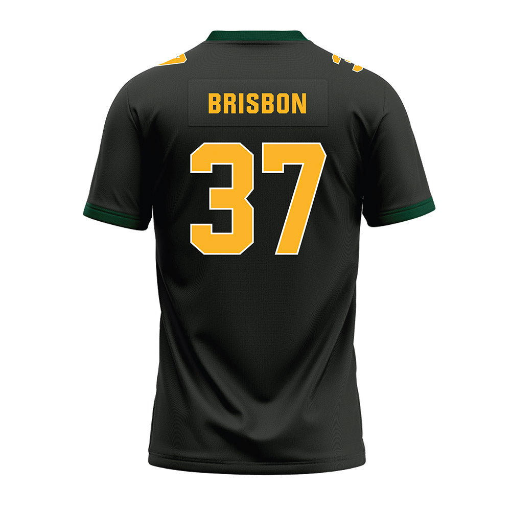 Baylor - NCAA Football : Demetrius Brisbon - Premium Football Jersey-1