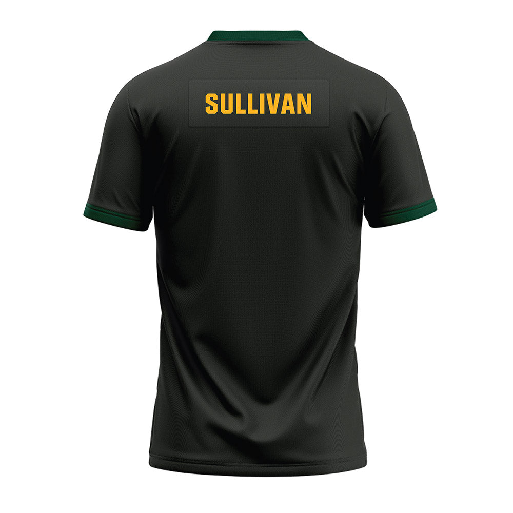 Baylor - NCAA Football : Riley Sullivan - Premium Football Jersey-1