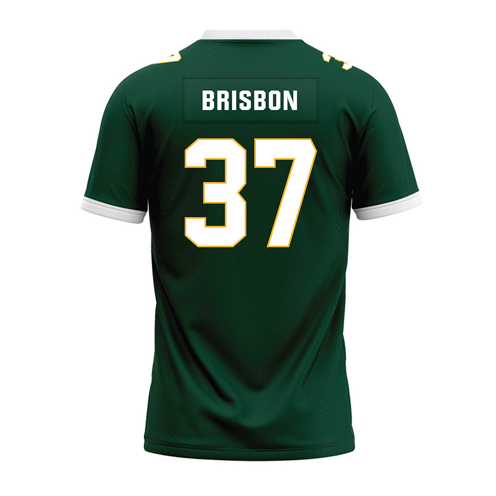 Baylor - NCAA Football : Demetrius Brisbon - Green Premium Football Jersey-1