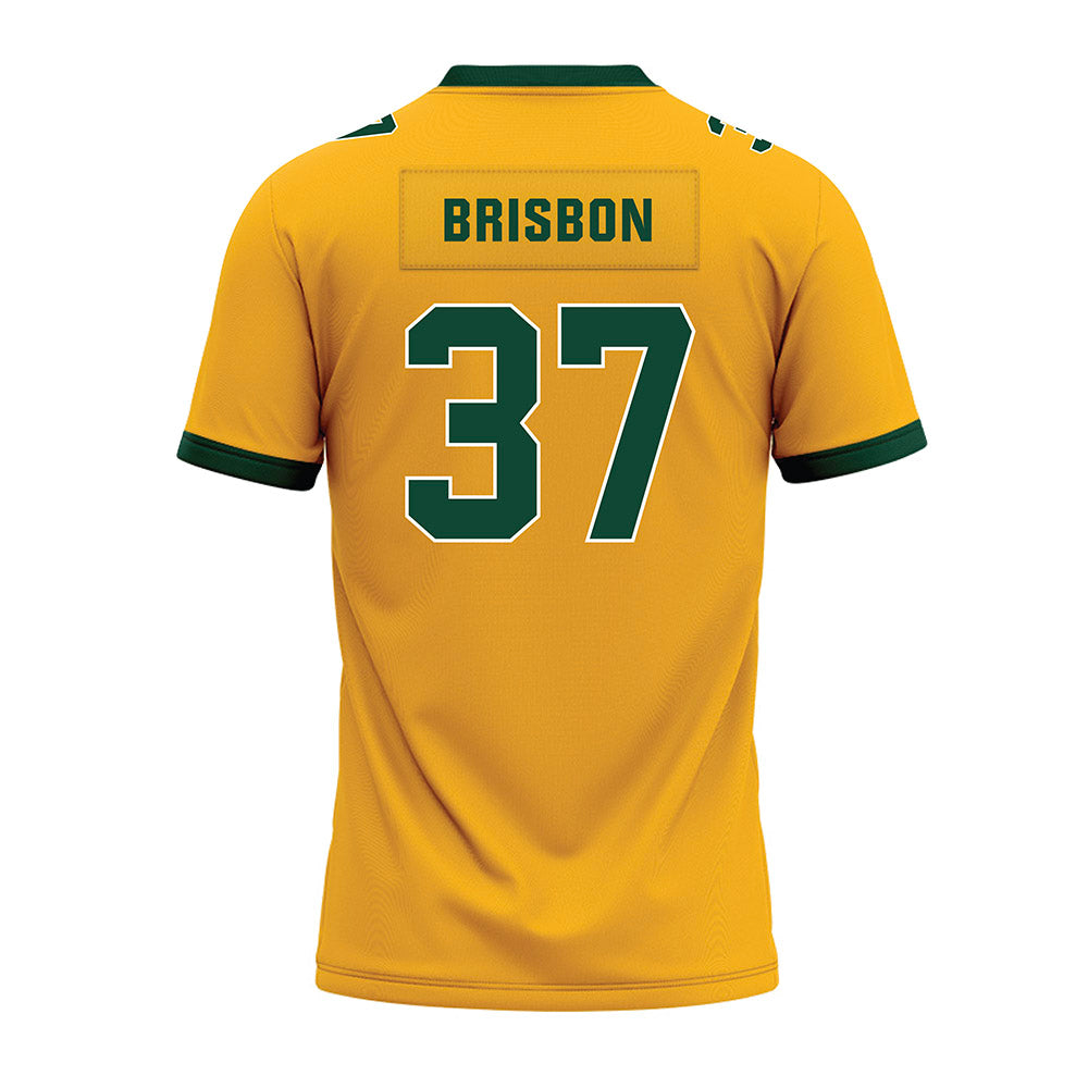 Baylor - NCAA Football : Demetrius Brisbon - Gold Premium Football Jersey-1