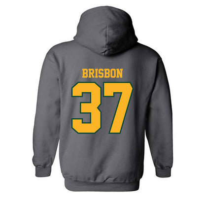Baylor - NCAA Football : Demetrius Brisbon - Classic Shersey Hooded Sweatshirt-1