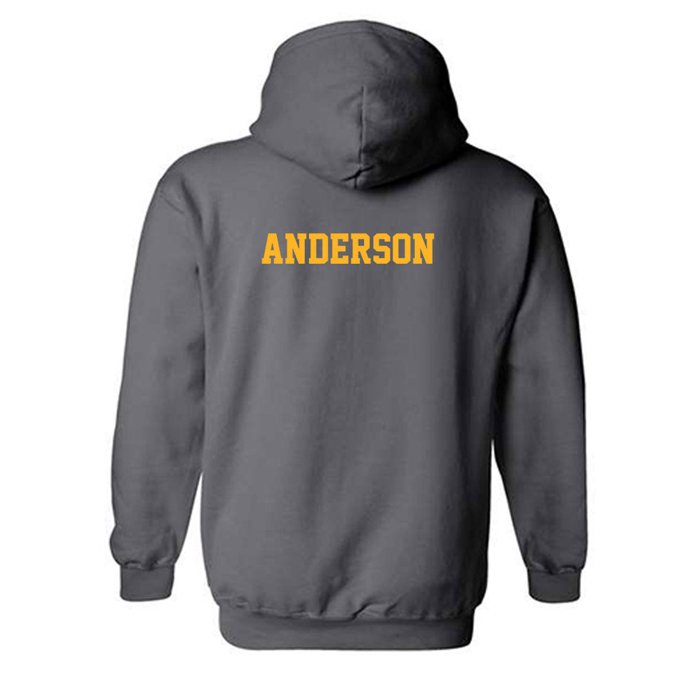 Baylor - NCAA Men's Tennis : Blake Anderson - Classic Shersey Hooded Sweatshirt-1