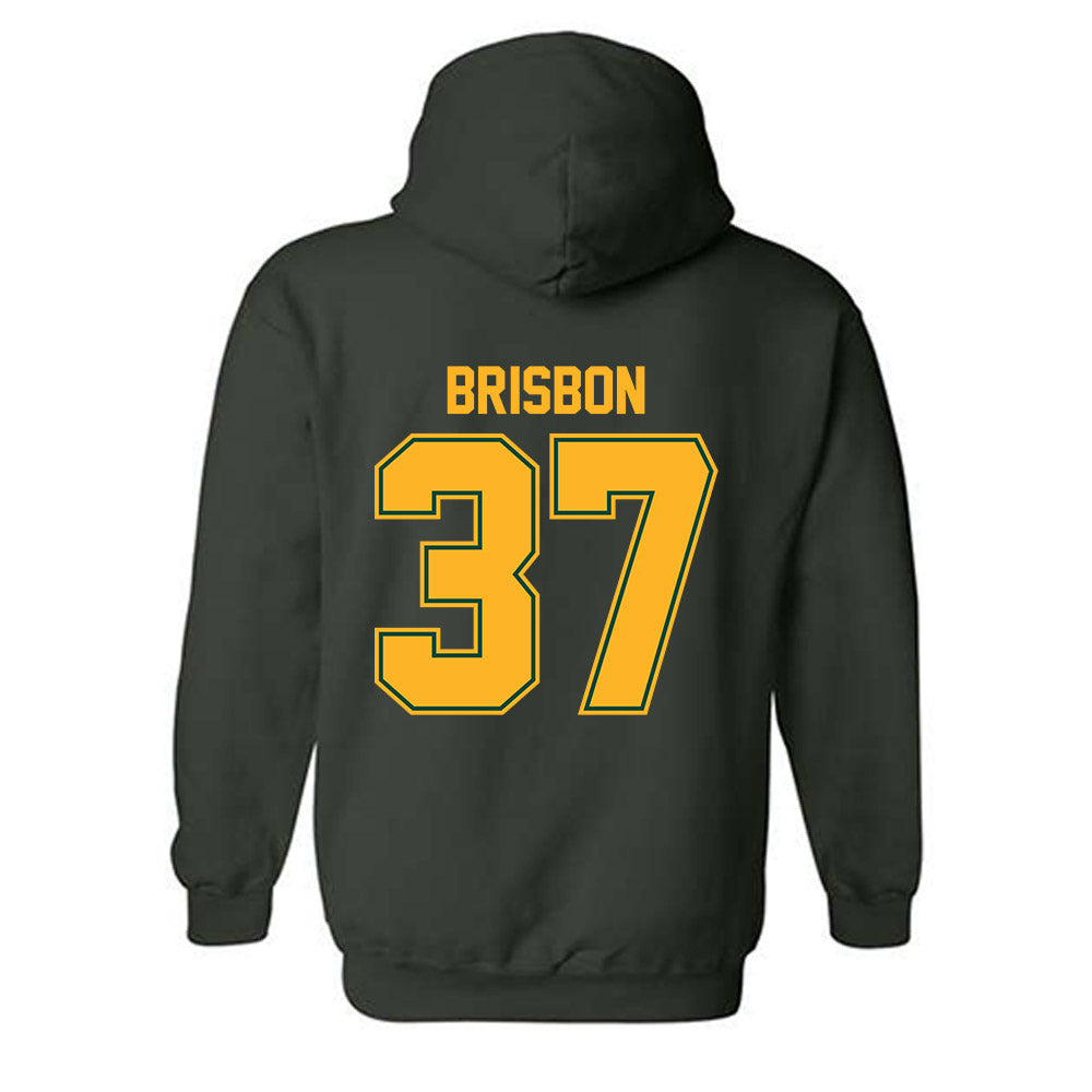 Baylor - NCAA Football : Demetrius Brisbon - Classic Shersey Hooded Sweatshirt-1