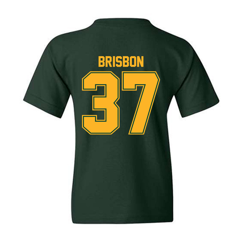 Baylor - NCAA Football : Demetrius Brisbon - Classic Shersey Youth T-Shirt-1