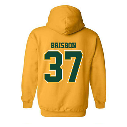Baylor - NCAA Football : Demetrius Brisbon - Classic Shersey Hooded Sweatshirt-1