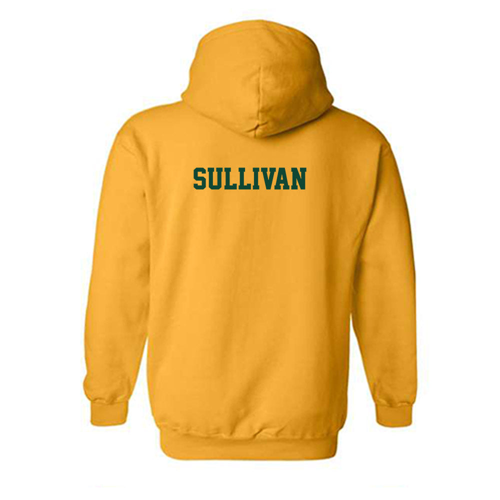 Baylor - NCAA Football : Riley Sullivan - Classic Shersey Hooded Sweatshirt-1