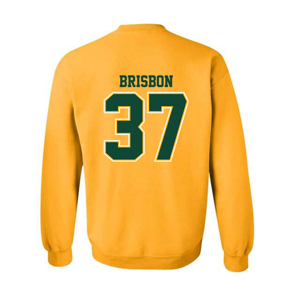 Baylor - NCAA Football : Demetrius Brisbon - Classic Shersey Crewneck Sweatshirt-1