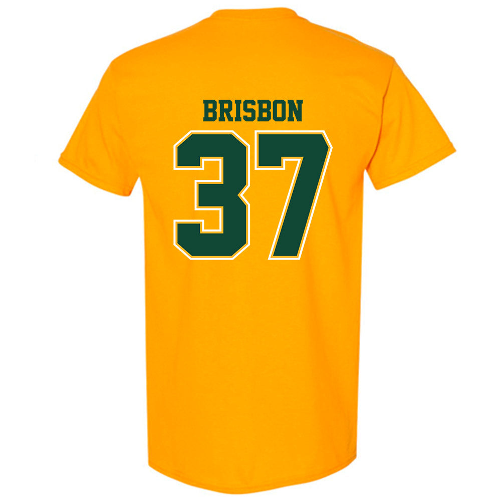 Baylor - NCAA Football : Demetrius Brisbon - Classic Shersey T-Shirt-1