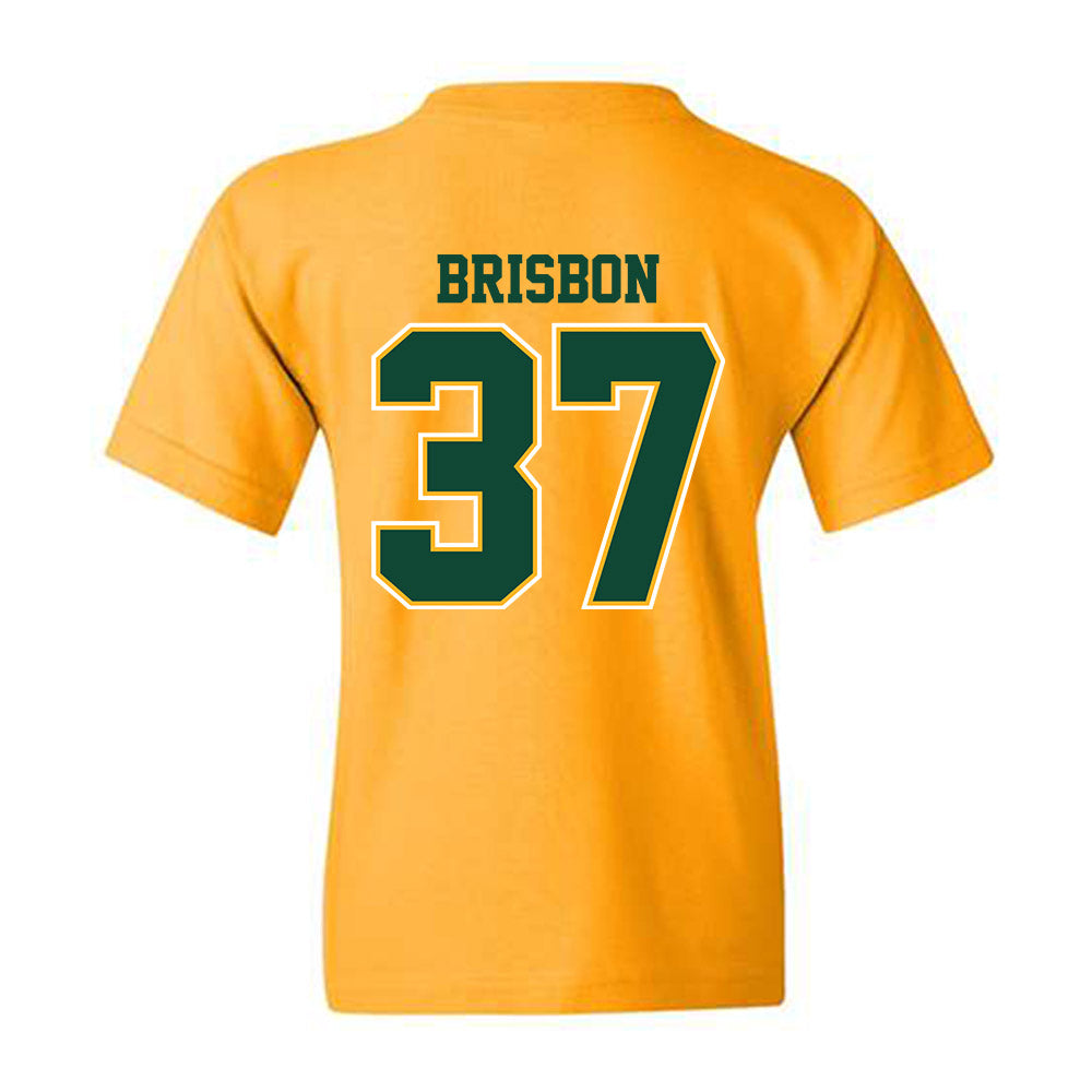 Baylor - NCAA Football : Demetrius Brisbon - Classic Shersey Youth T-Shirt-1