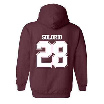 AAMU - NCAA Softball : Mariah Solorio - Classic Shersey Hooded Sweatshirt-1