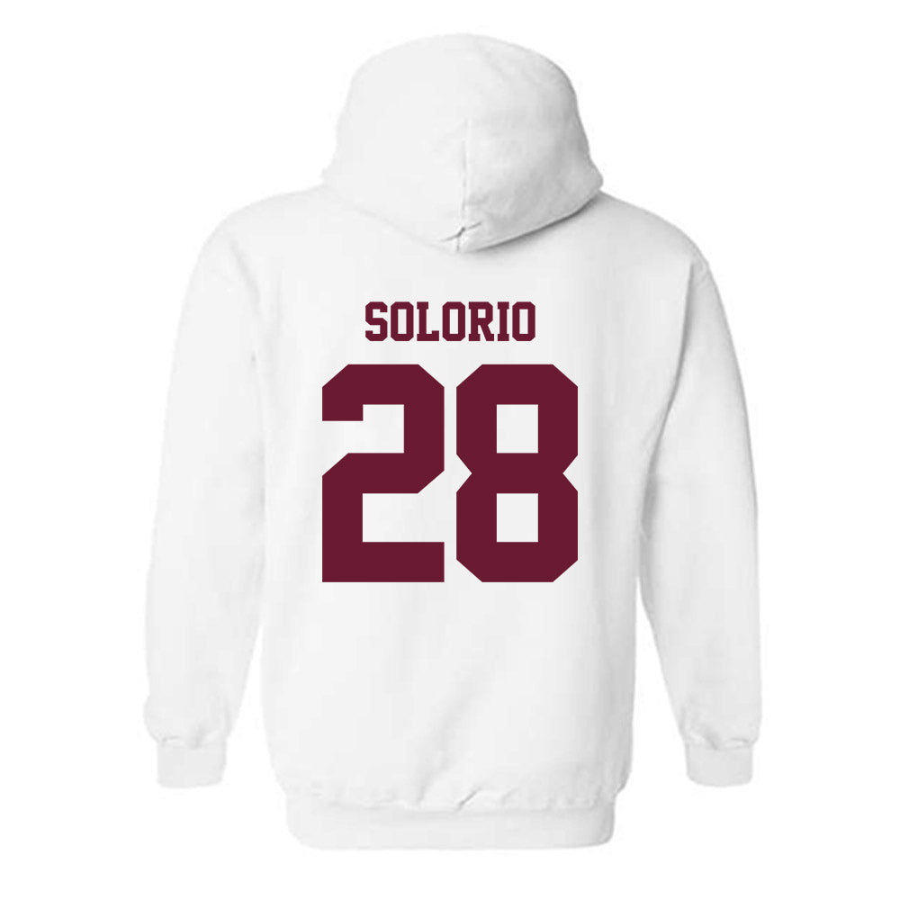 AAMU - NCAA Softball : Mariah Solorio - Classic Shersey Hooded Sweatshirt-1