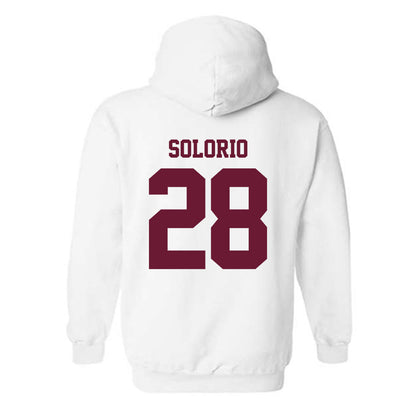 AAMU - NCAA Softball : Mariah Solorio - Classic Shersey Hooded Sweatshirt-1