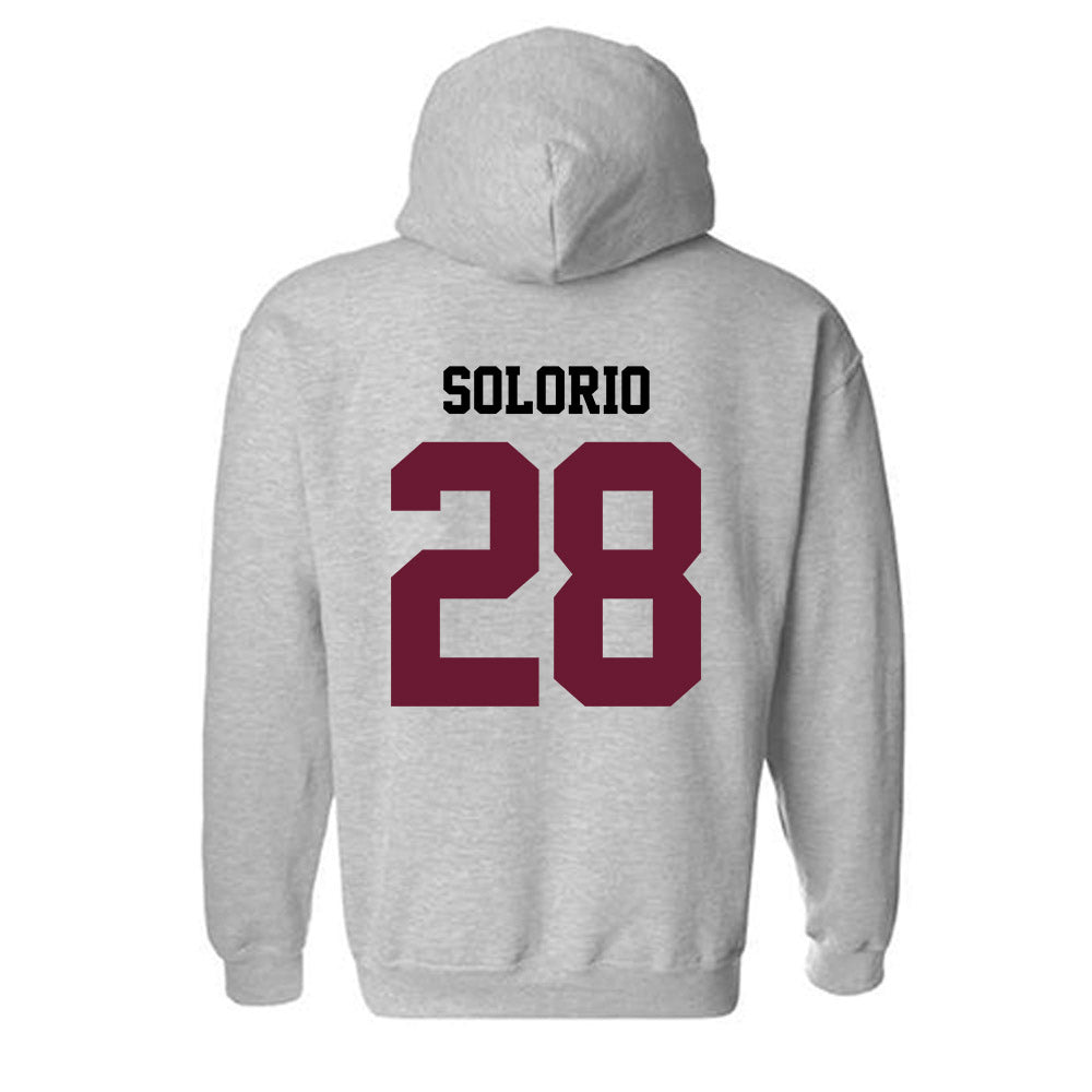 AAMU - NCAA Softball : Mariah Solorio - Classic Shersey Hooded Sweatshirt-1