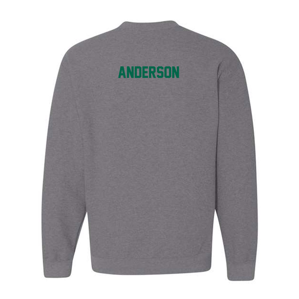 Tulane - NCAA Women's Rowing : Ava Anderson - Classic Shersey Crewneck Sweatshirt-1
