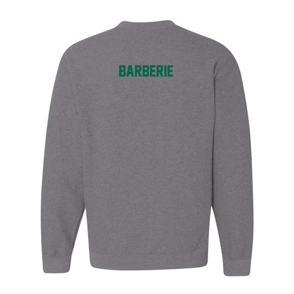 Tulane - NCAA Women's Swimming & Diving : Danielle Barberie - Classic Shersey Crewneck Sweatshirt-1