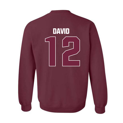 SIU Carbondale - NCAA Women's Soccer : Ziv David - Classic Shersey Crewneck Sweatshirt-1