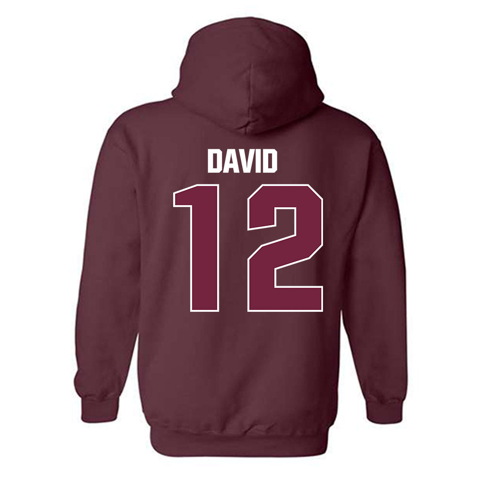 SIU Carbondale - NCAA Women's Soccer : Ziv David - Classic Shersey Hooded Sweatshirt-1