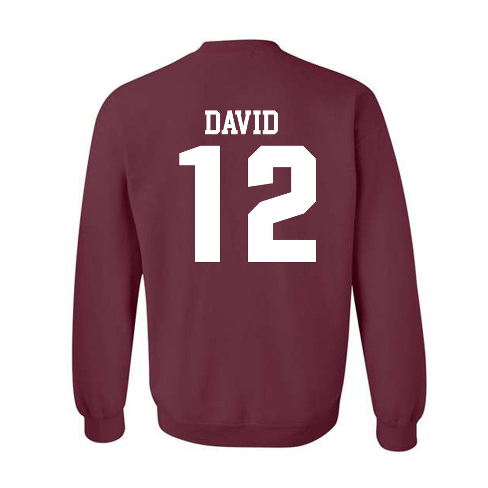 SIU Carbondale - NCAA Women's Soccer : Ziv David - Classic Shersey Crewneck Sweatshirt-1