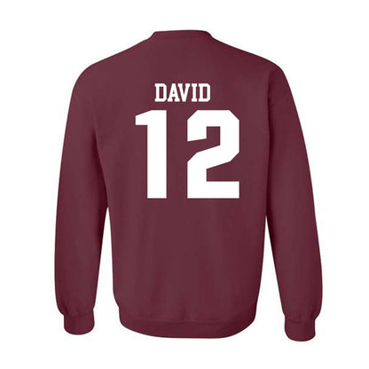 SIU Carbondale - NCAA Women's Soccer : Ziv David - Classic Shersey Crewneck Sweatshirt-1
