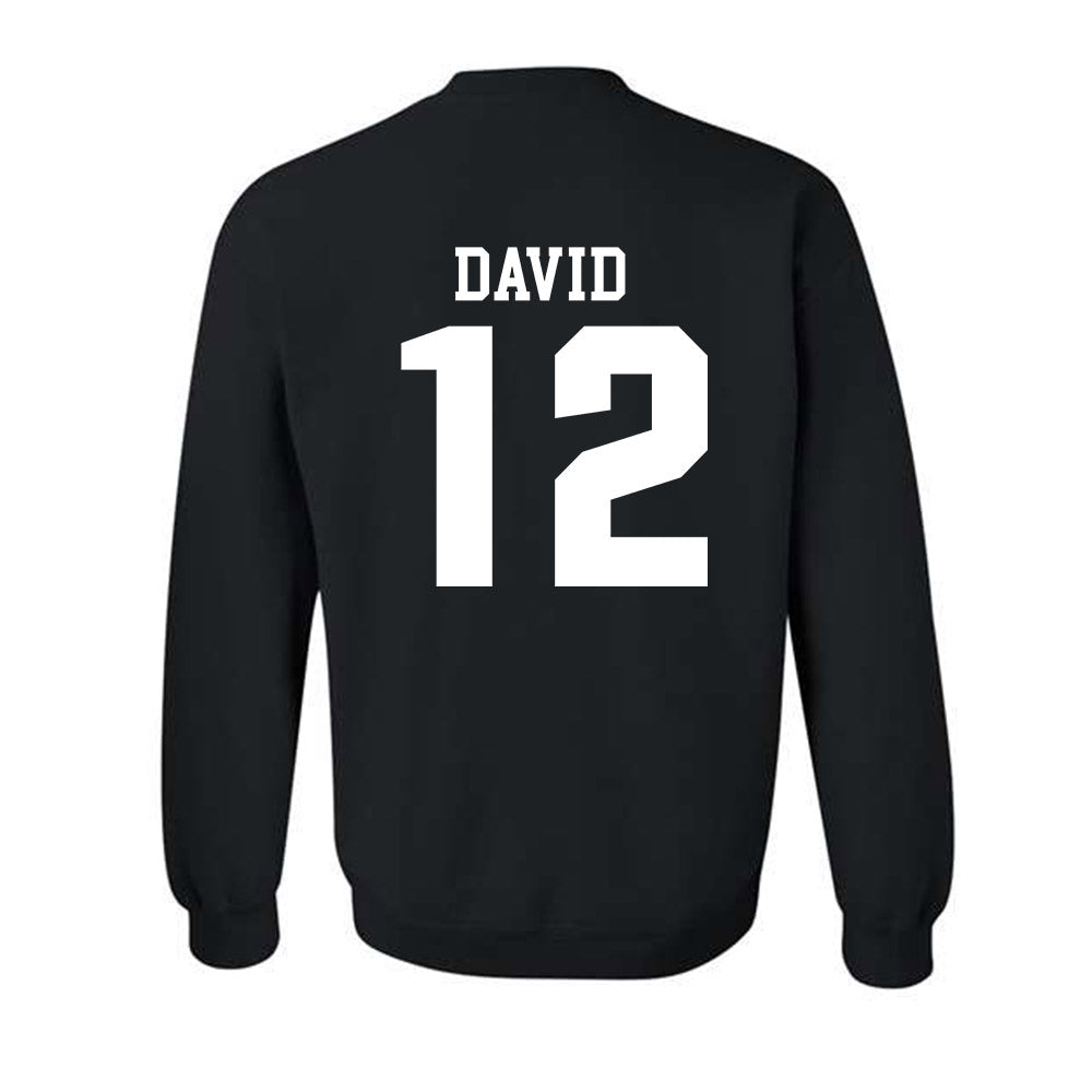 SIU Carbondale - NCAA Women's Soccer : Ziv David - Classic Shersey Crewneck Sweatshirt-1