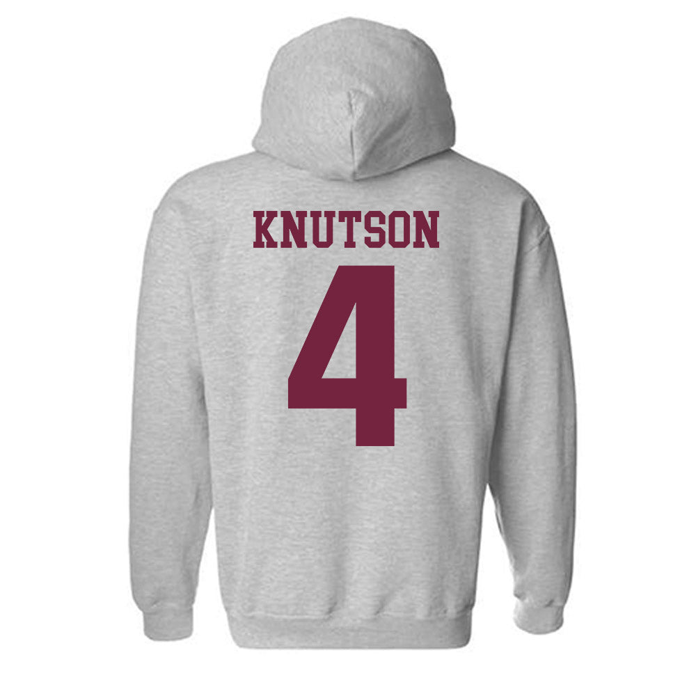 SIU Carbondale - NCAA Softball : Amanda Knutson - Classic Shersey Hooded Sweatshirt-1