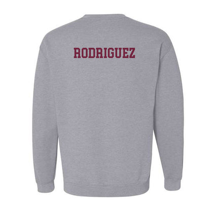 SIU Carbondale - NCAA Women's Swimming & Diving : Karen Rodriguez - Classic Shersey Crewneck Sweatshirt-1