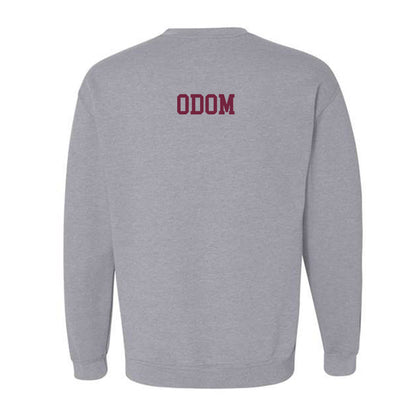 SIU Carbondale - NCAA Men's Swimming & Diving : Alex Odom - Classic Shersey Crewneck Sweatshirt-1