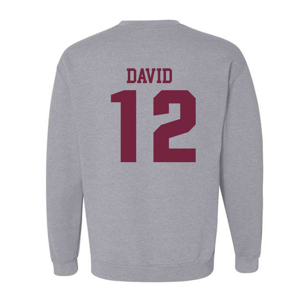 SIU Carbondale - NCAA Women's Soccer : Ziv David - Classic Shersey Crewneck Sweatshirt-1