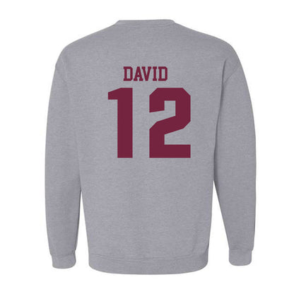 SIU Carbondale - NCAA Women's Soccer : Ziv David - Classic Shersey Crewneck Sweatshirt-1