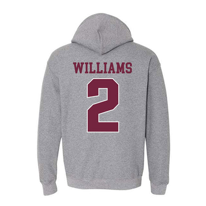 SIU Carbondale - NCAA Softball : Emily Williams - Classic Shersey Hooded Sweatshirt-1