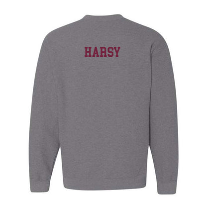 SIU Carbondale - NCAA Men's Track & Field : Henry Harsy - Classic Shersey Crewneck Sweatshirt-1