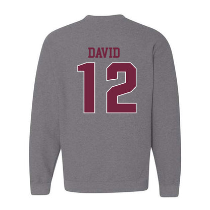 SIU Carbondale - NCAA Women's Soccer : Ziv David - Classic Shersey Crewneck Sweatshirt-1