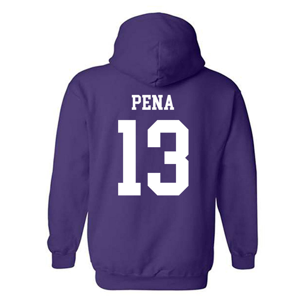 SFA - NCAA Baseball : Ethan Pena - Classic Shersey Hooded Sweatshirt-1