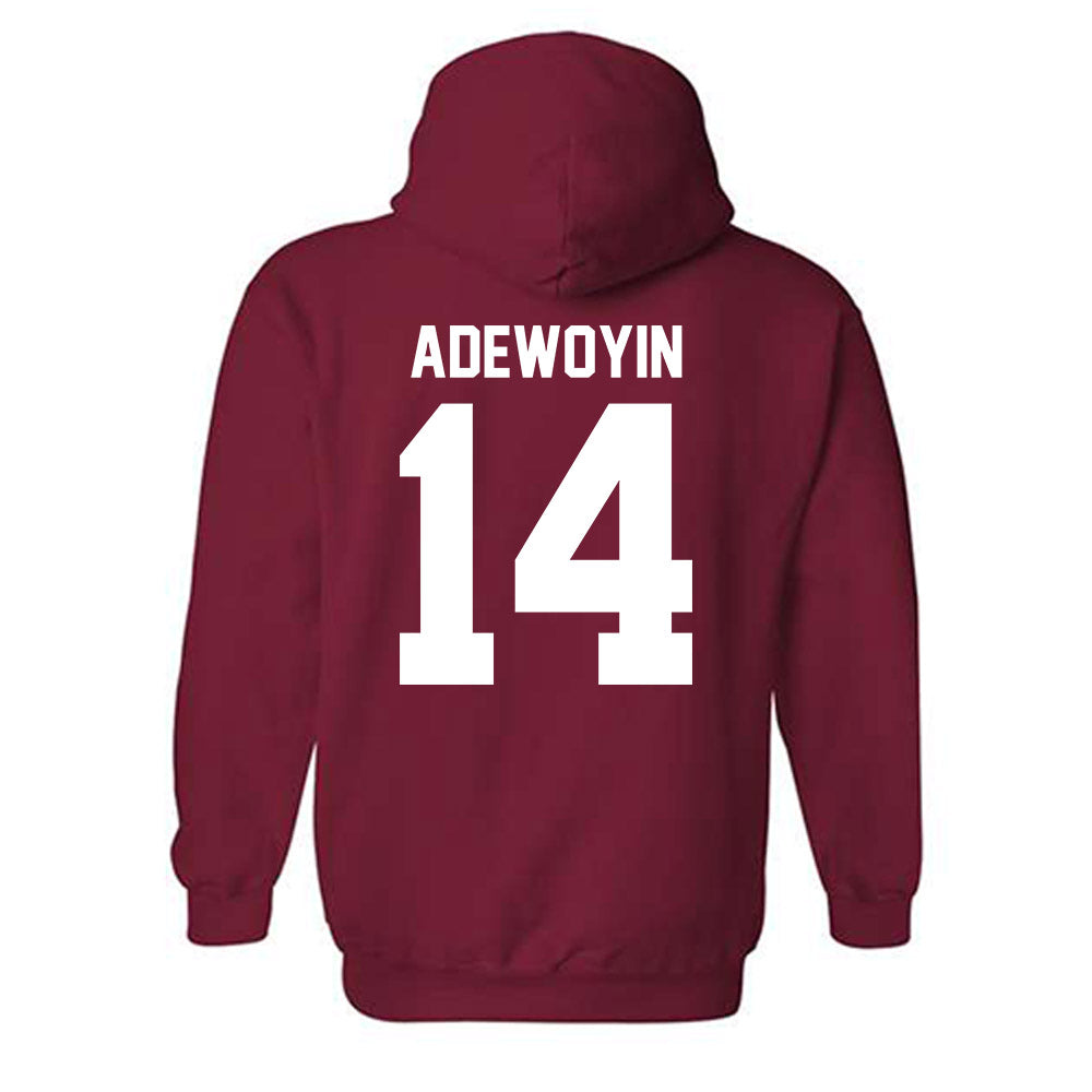 Ball State - NCAA Football : Tobi Adewoyin - Hooded Sweatshirt-1