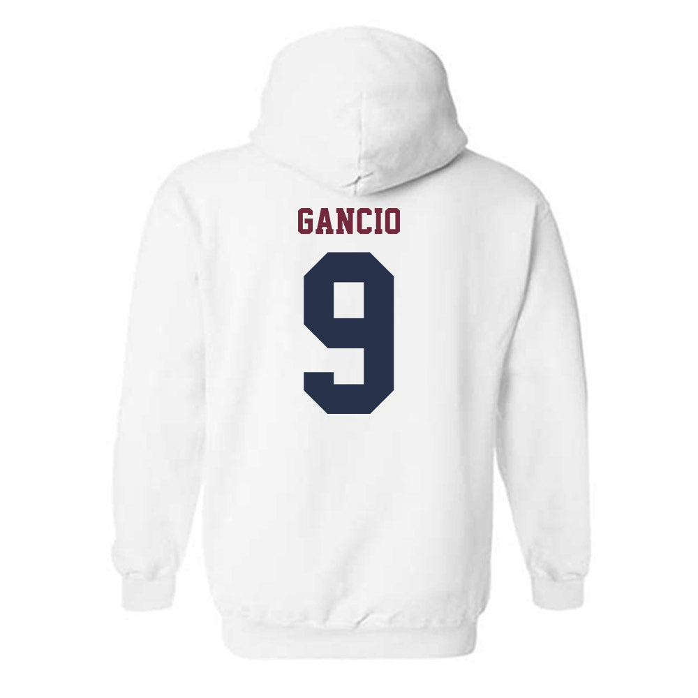 FDU Florham - NCAA Men's Soccer : Vincenzo Gancio - Hooded Sweatshirt-1