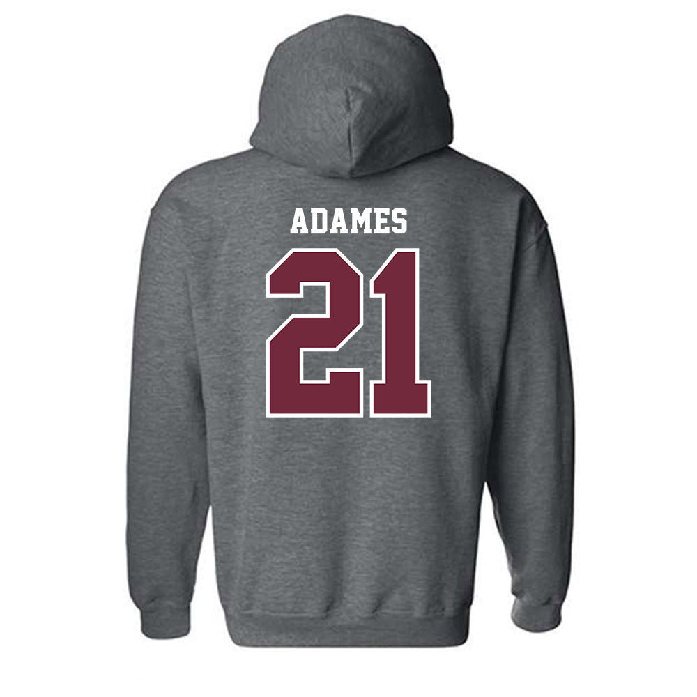 FDU Florham - NCAA Football : Jose Adames - Hooded Sweatshirt-1