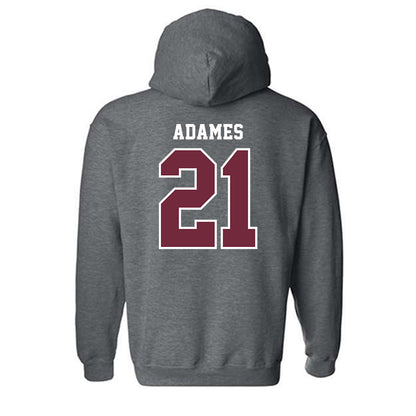 FDU Florham - NCAA Football : Jose Adames - Hooded Sweatshirt-1
