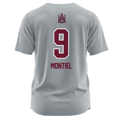 AAMU - NCAA Softball : Ariana Montiel - Jersey-1